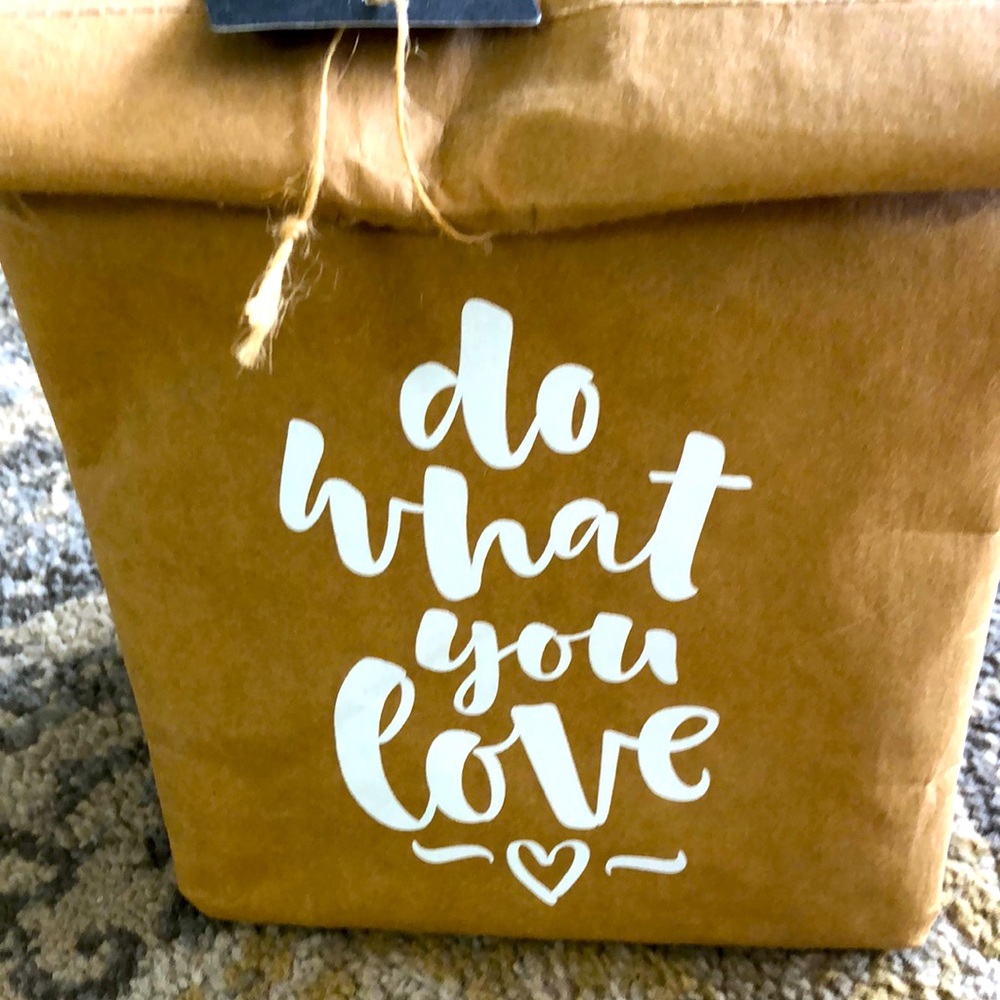 NWT Paper Sack Lunch Cooler
